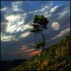 Moon Light alsunna.org (5)